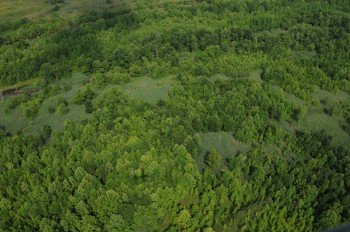Property photo 12 - 1,025 Acres in 24 Tracts - Exellent Recreation Opportunity - Potential Building Sites - 11 Lakes & Ponds